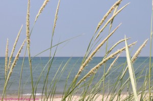 Lake Michigan-5