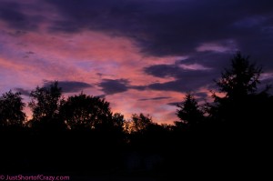 Sunrise