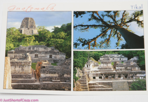 novica-6