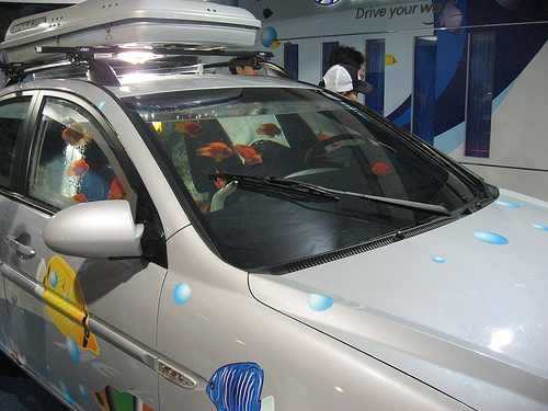 car-aquarium