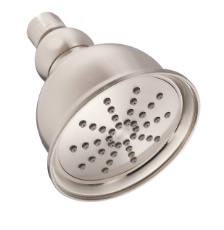 Danze Showerhead 2