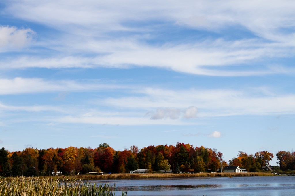 fall color-2