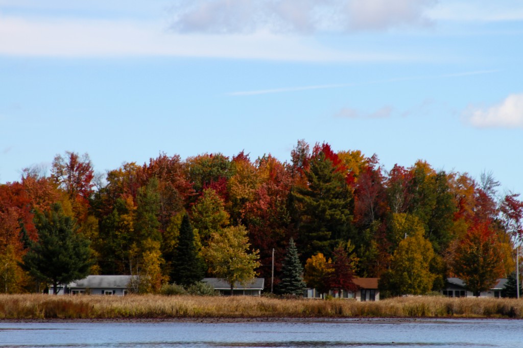 fall color-3