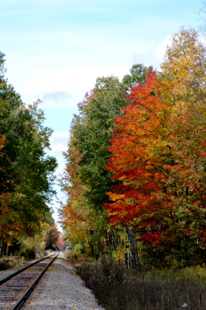 fall color-4