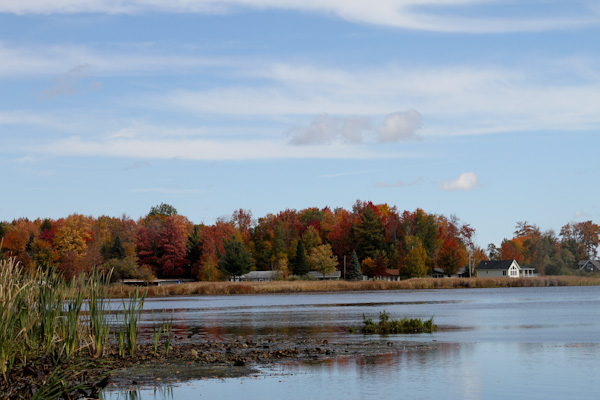 fall color-5