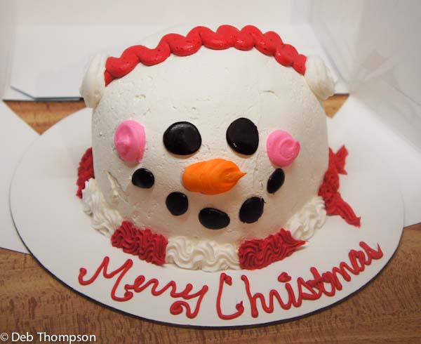 Baskin Robbins Ice Cream Cake