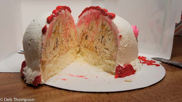 Baskin Robbins Ice Cream Cake