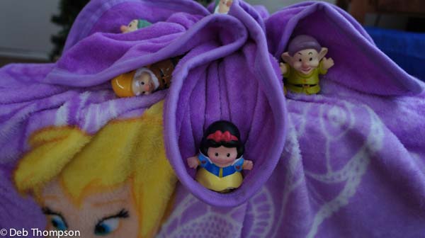 SONY DSC