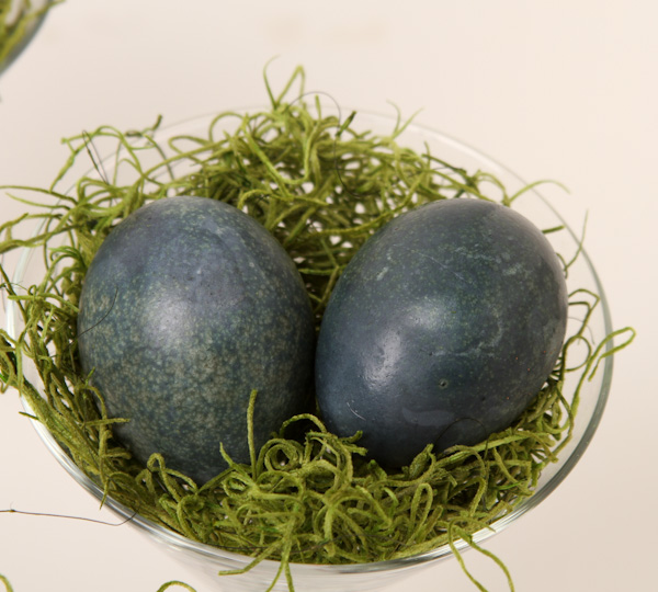 Natural Dyed Eggs-7