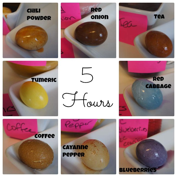 Natural dyed easter eggs