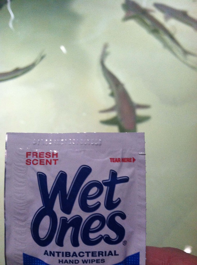 Wet Ones