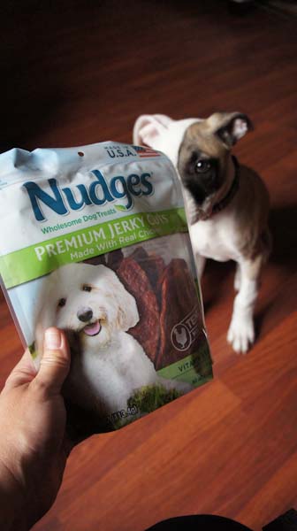 are nudges safe for dogs