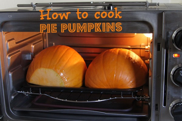 how to cook pie pumpkins