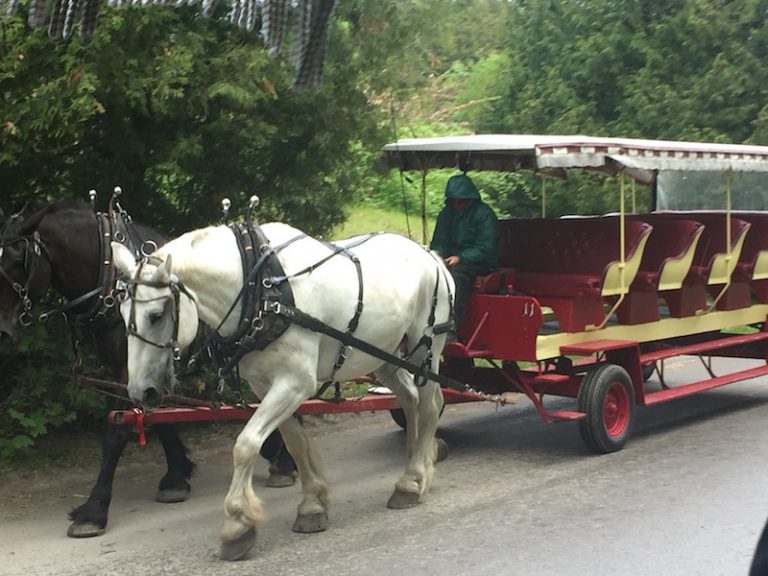 30+ Unforgettable Things to do on Mackinac Island - Just Short of Crazy