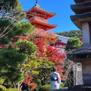 Explore Kiyomizu-Dera Temple Area + Kimono Rental Experience