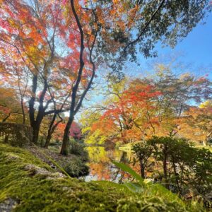 Stamp Collecting At Botanical Gardens In Japan