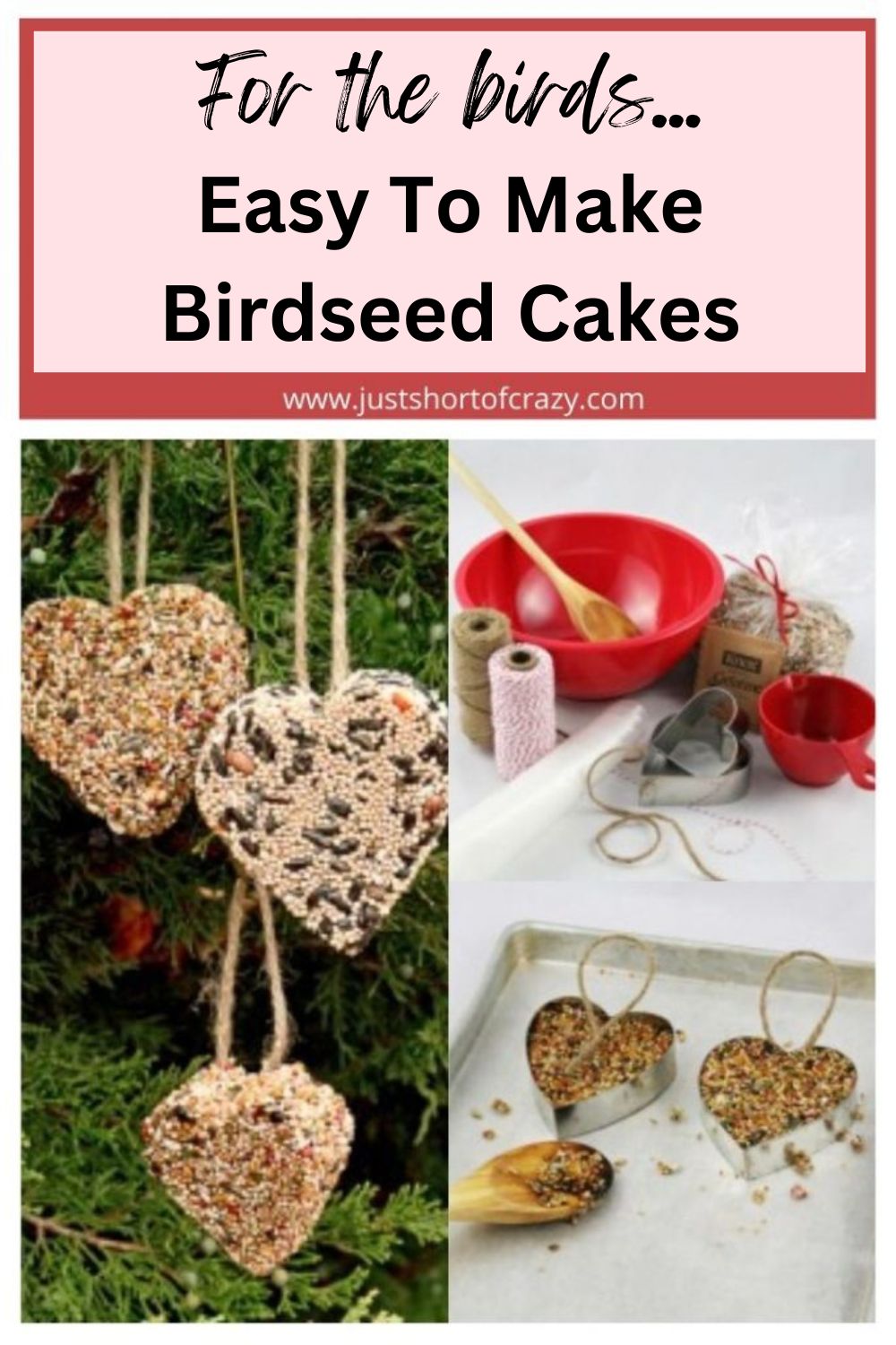Guest Post – Homemade bird seed cakes - Emmy's Mummy