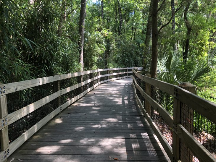 How to Explore the Great Outdoors in Crystal River, FL