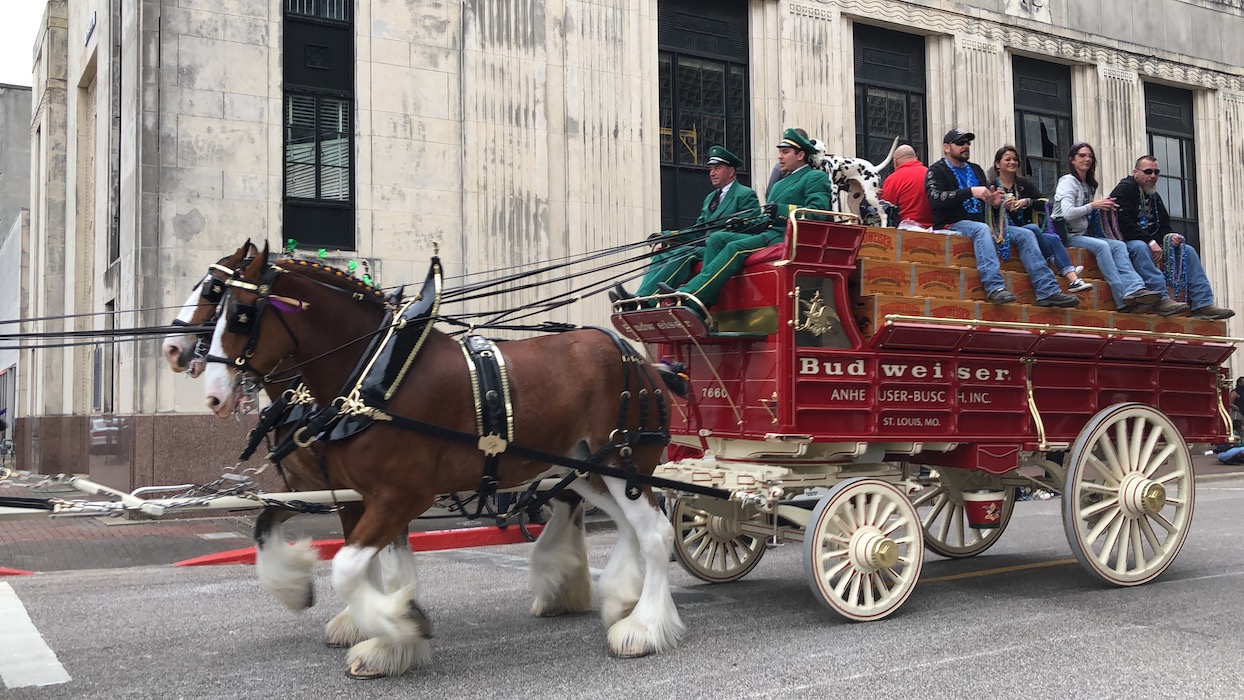 mardi gras in beaumont